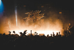 The bloody beetroots Festival Décibulles