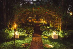 Photographe pour les professionnels