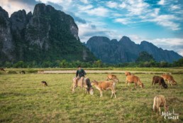 Paysage de Vang Vieng