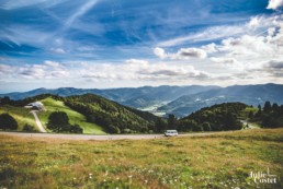 Paysage au Markstein