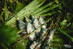 Déjeuner dans la jungle