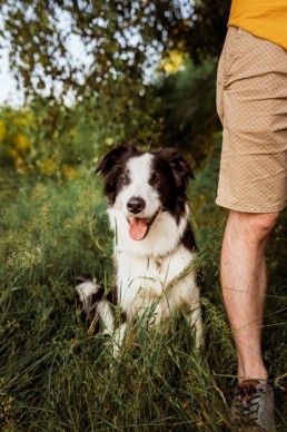 Photographe Chien Gérardmer